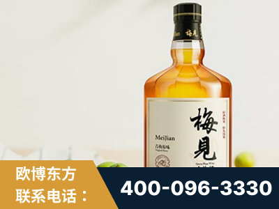 佳木斯-梅见青梅酒